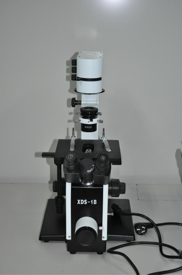 biomicroscope
