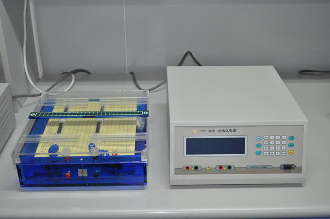 electrophoresis apparatus