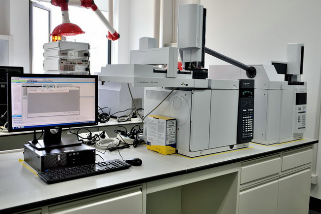 Gas chromatography system