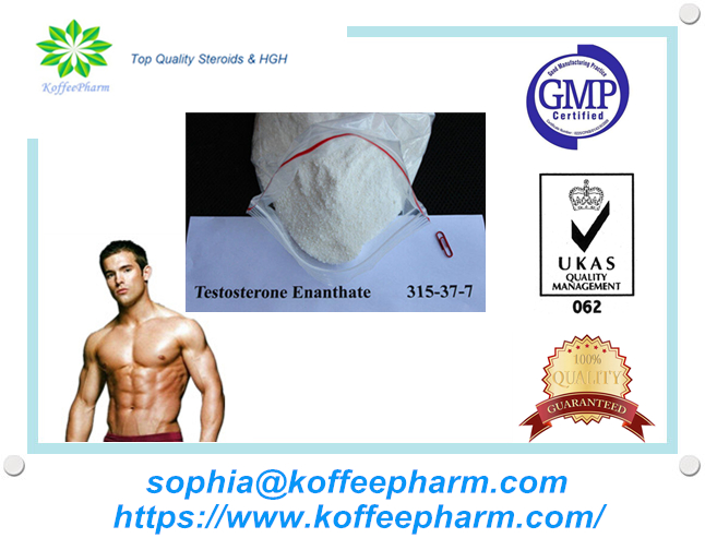 Testosterone Enanthate(powder)