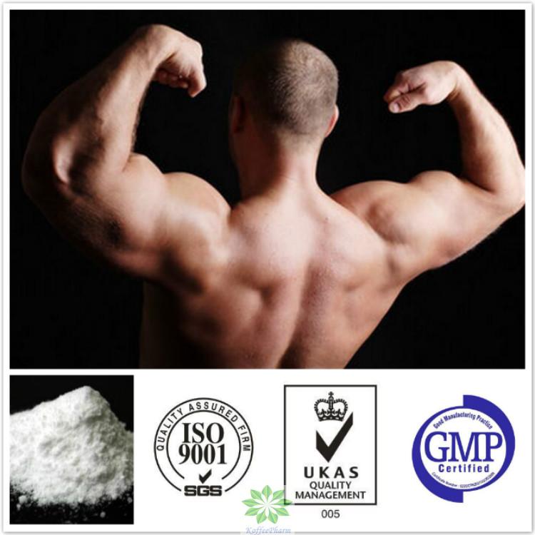 Testosterone Enanthate(powder)