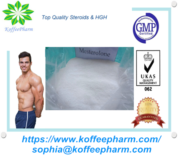 Mesterolone Proviron