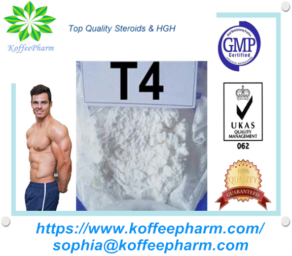 Levothyroxine Sodium(T4)